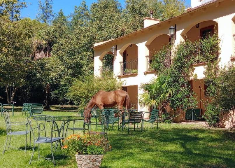 Hotel Loma Bola La Paz  外观 照片
